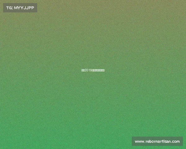 国安2019主场赛事荣耀征程